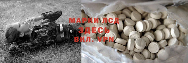 ПСИЛОЦИБИНОВЫЕ ГРИБЫ Алзамай