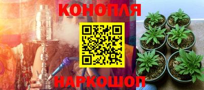 гидра Волжский